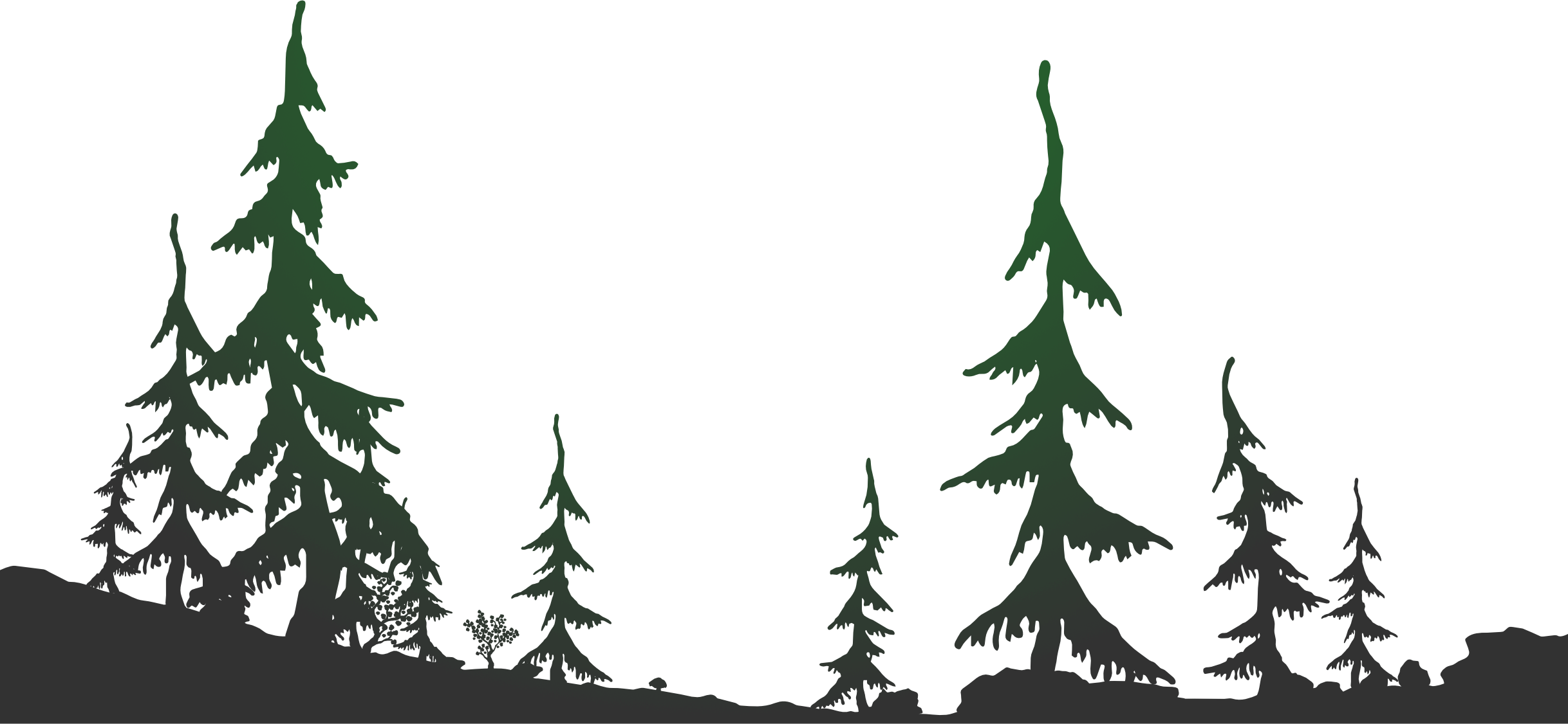 Illustrerad granskog i siluett